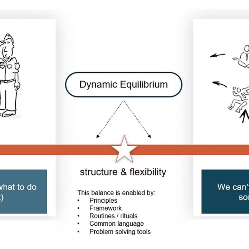 The Aim of Management at Scale: Dynamic Equilibrium
